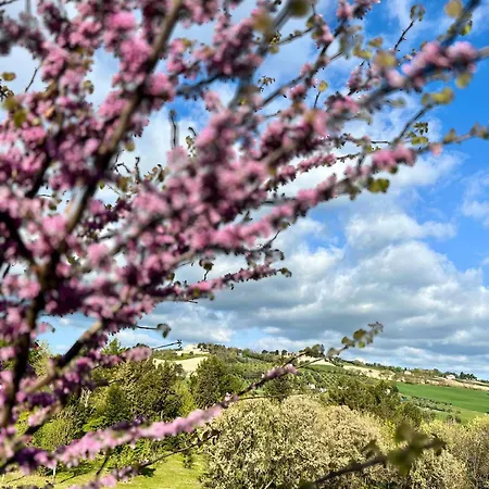 Agriturismo La Contea Senigallia Hébergement de vacances San Gaudenzio